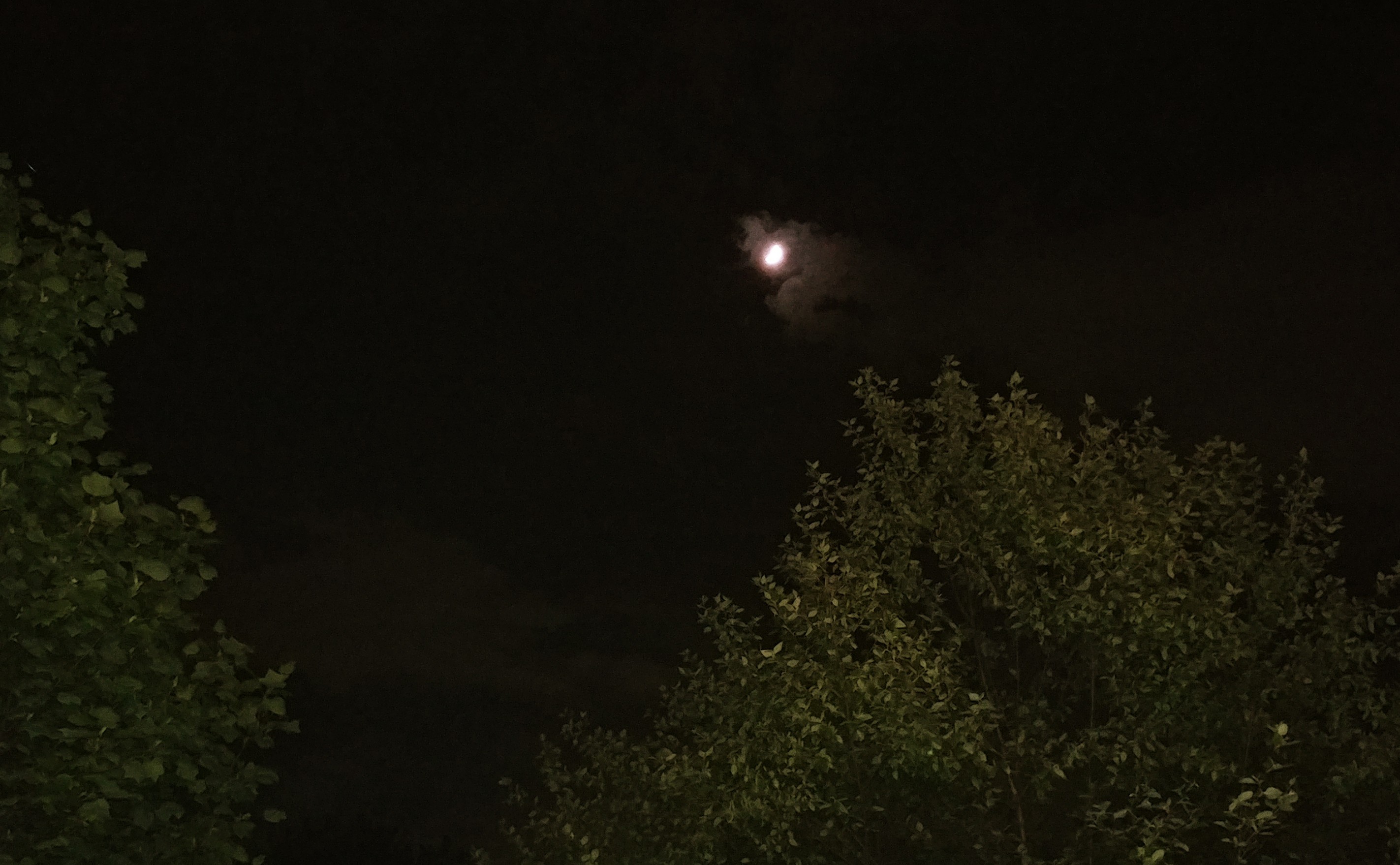 20200527_222123-1.jpg