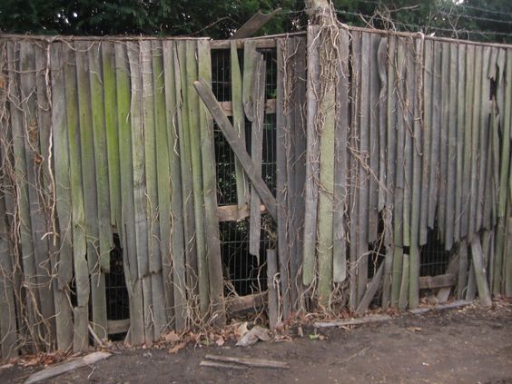 Fence.jpg
