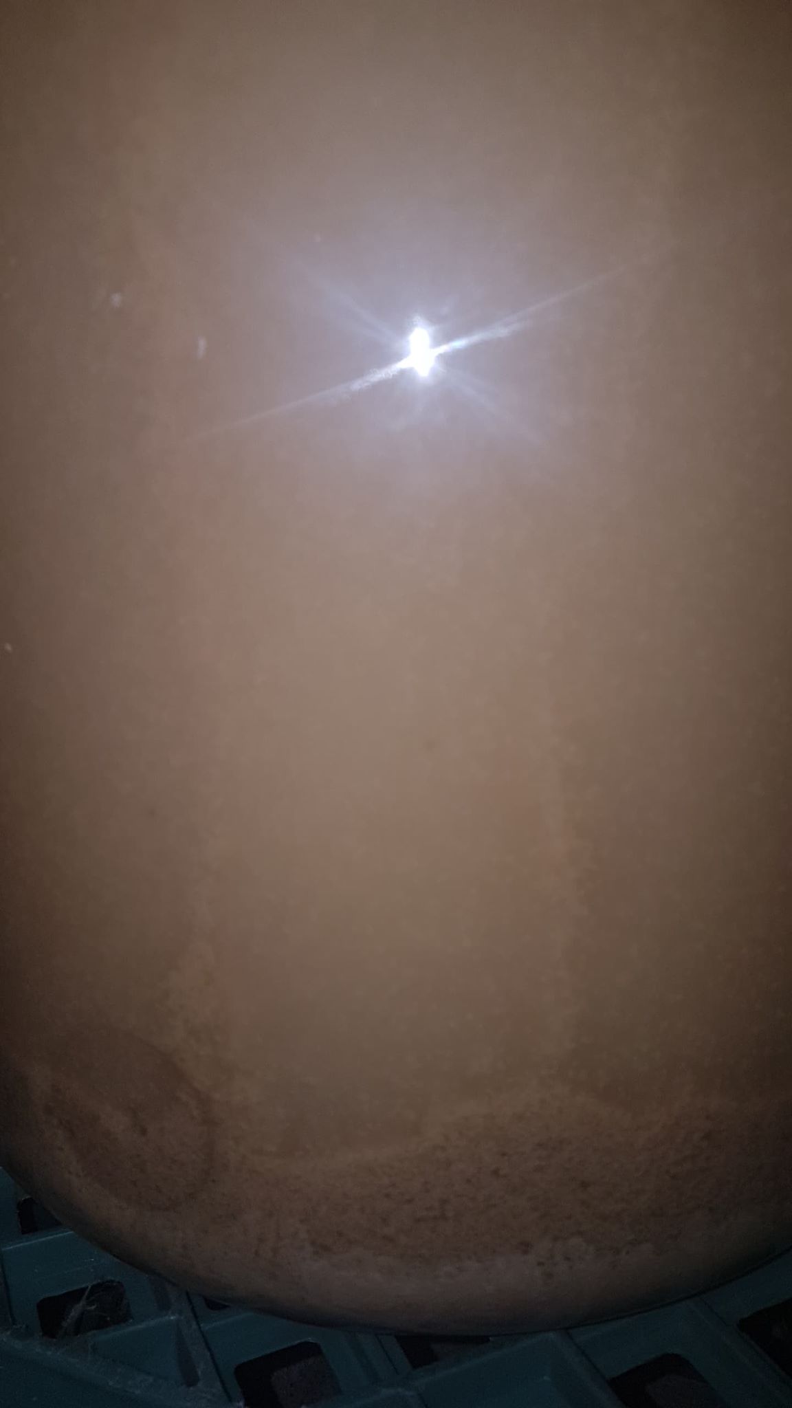 48 hour ferment 2.jpg 48 hour ferment 2.jpg