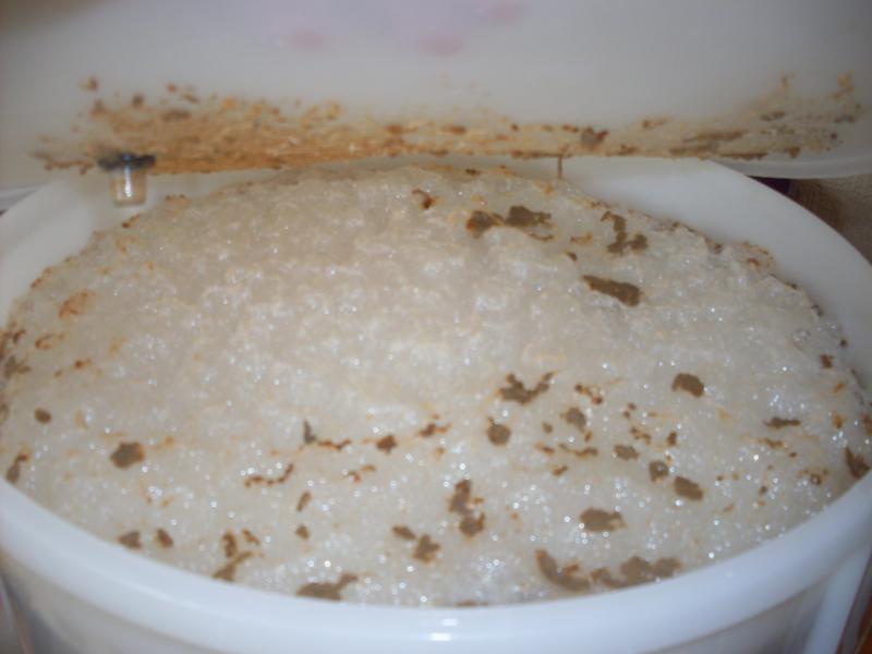 SDC10895.jpg