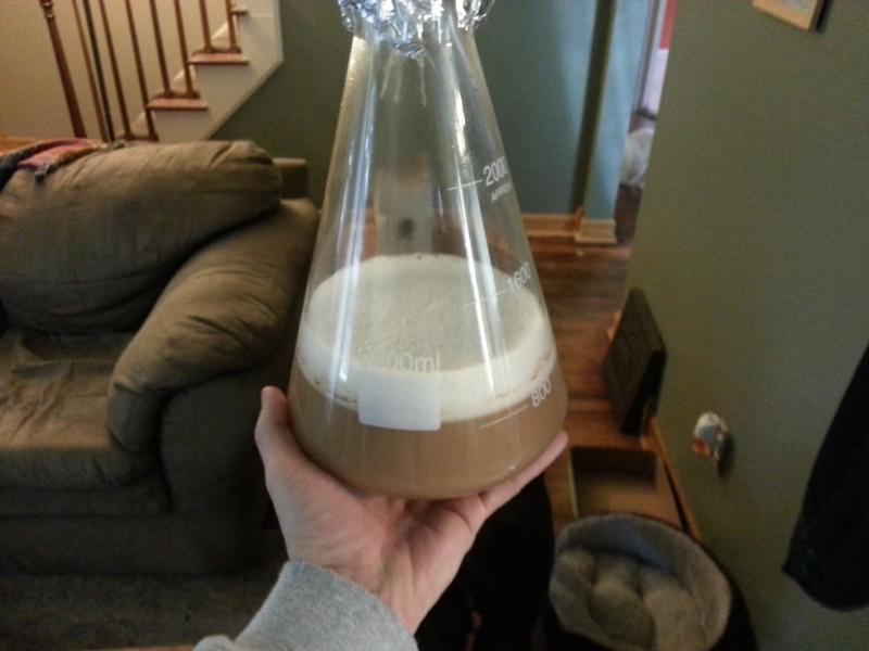 Yeast Starter.jpg