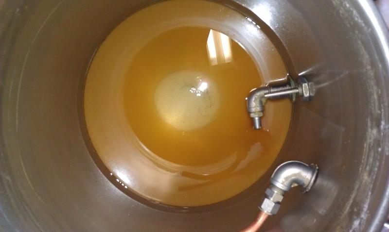 Clear Wort.jpg