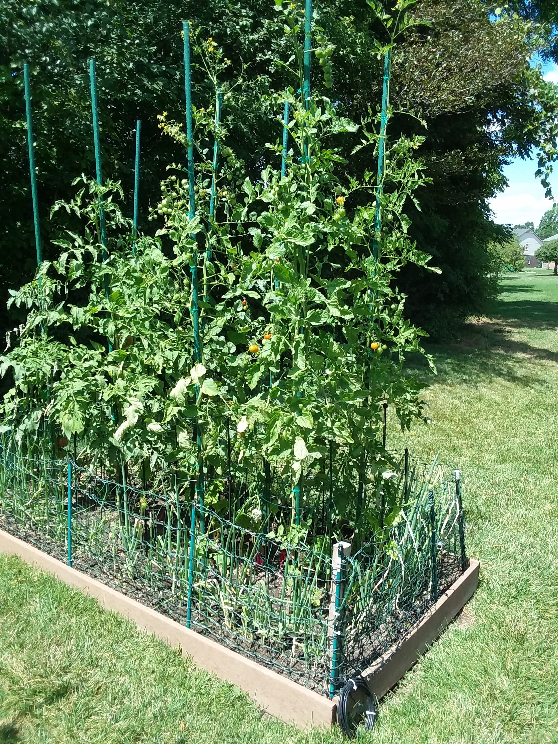 20200806_130444.jpg