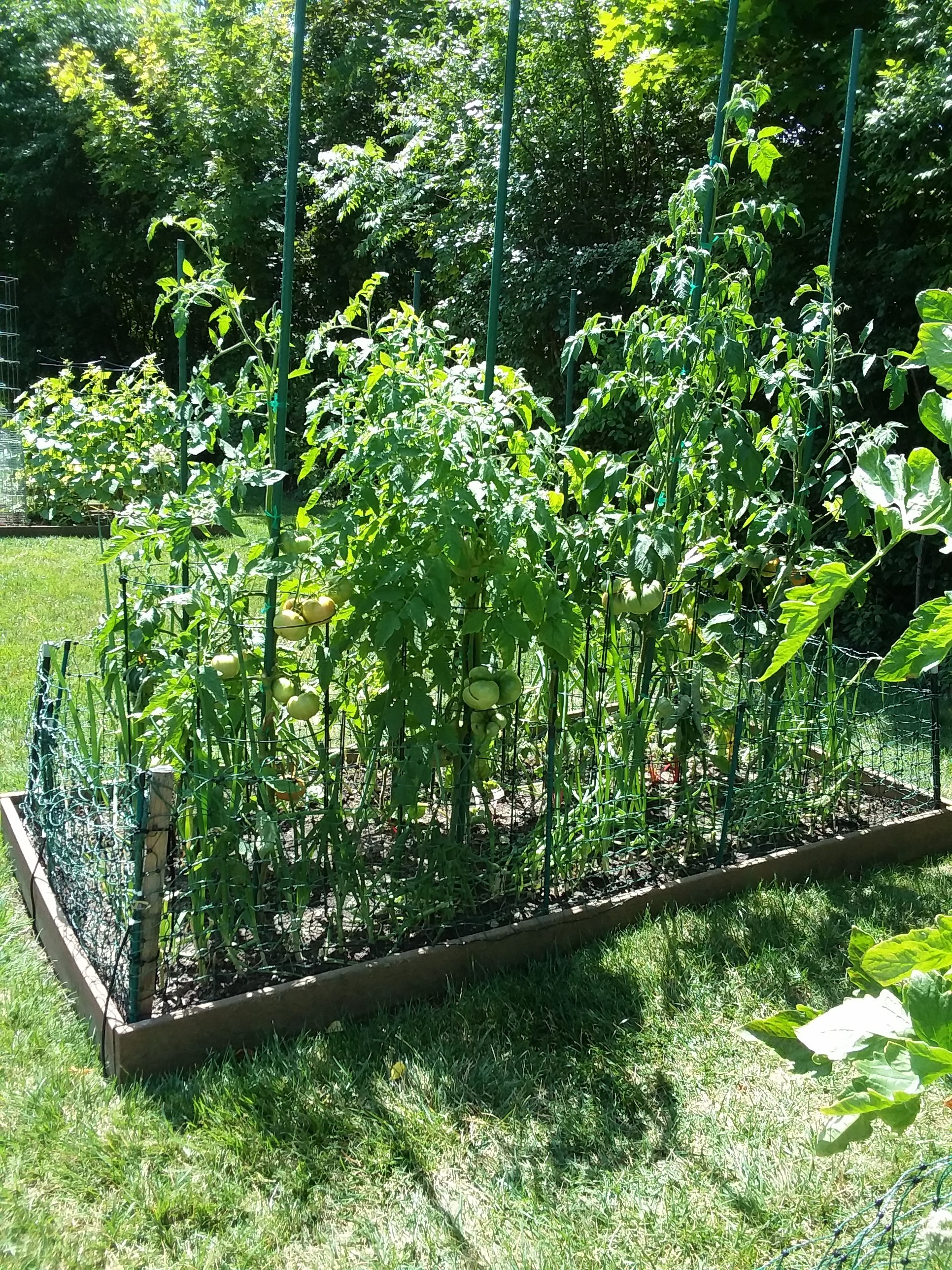 20200806_130502.jpg