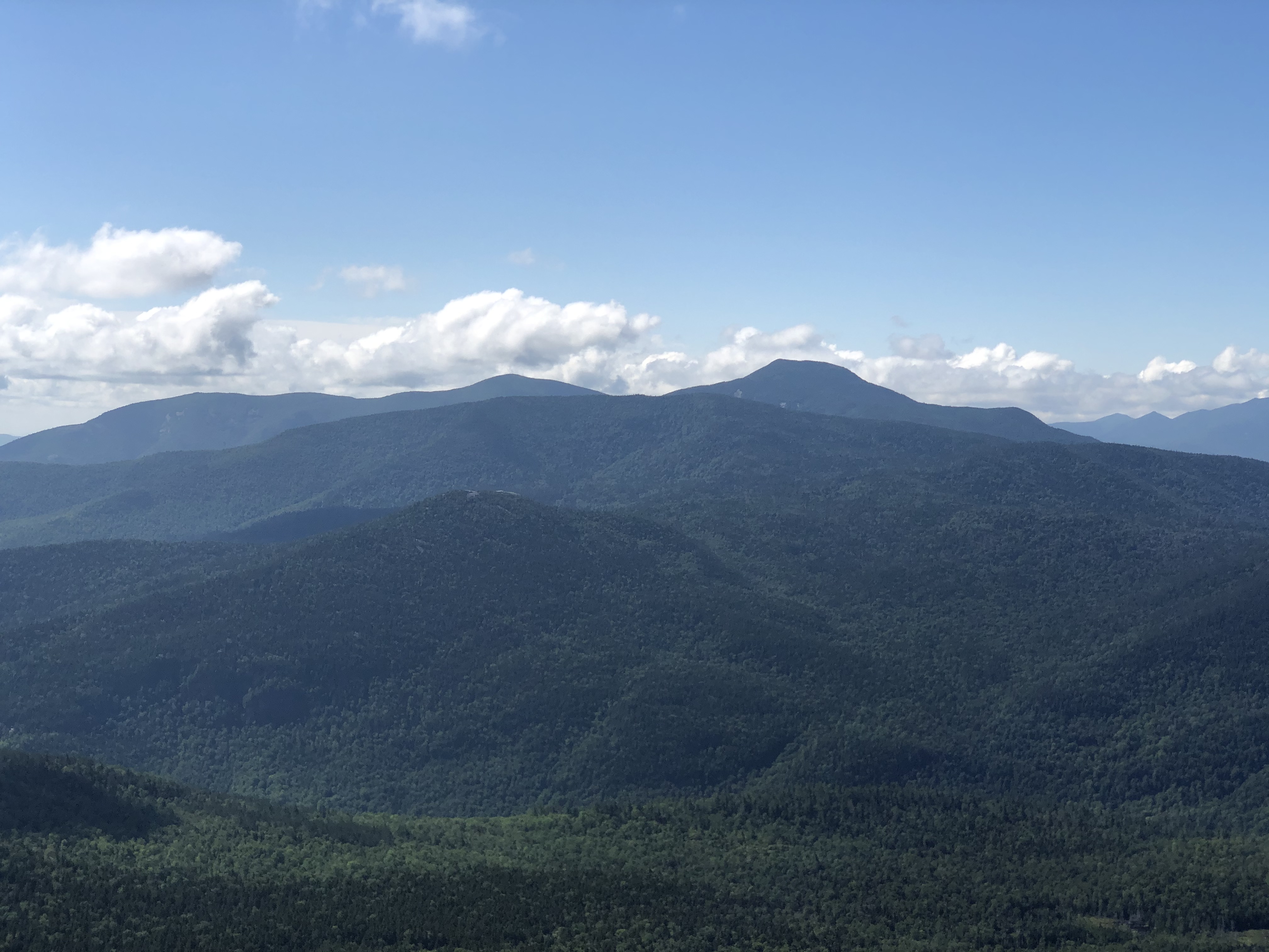 F602BEC5-C14A-495F-8526-651FF233AD75.jpeg
