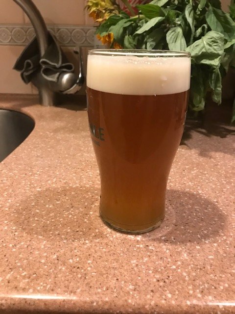 beer.jpeg
