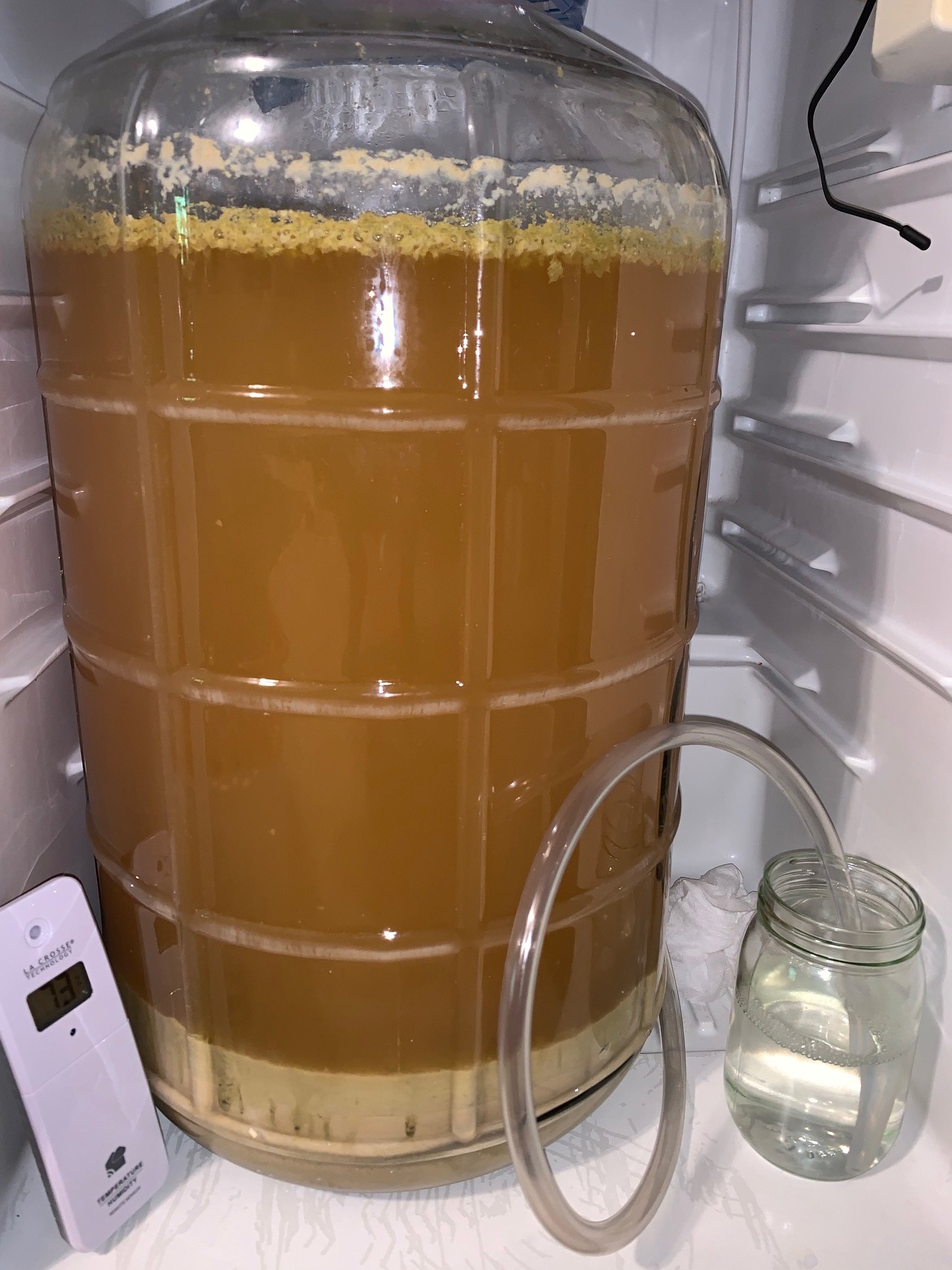 fermentor.jpg