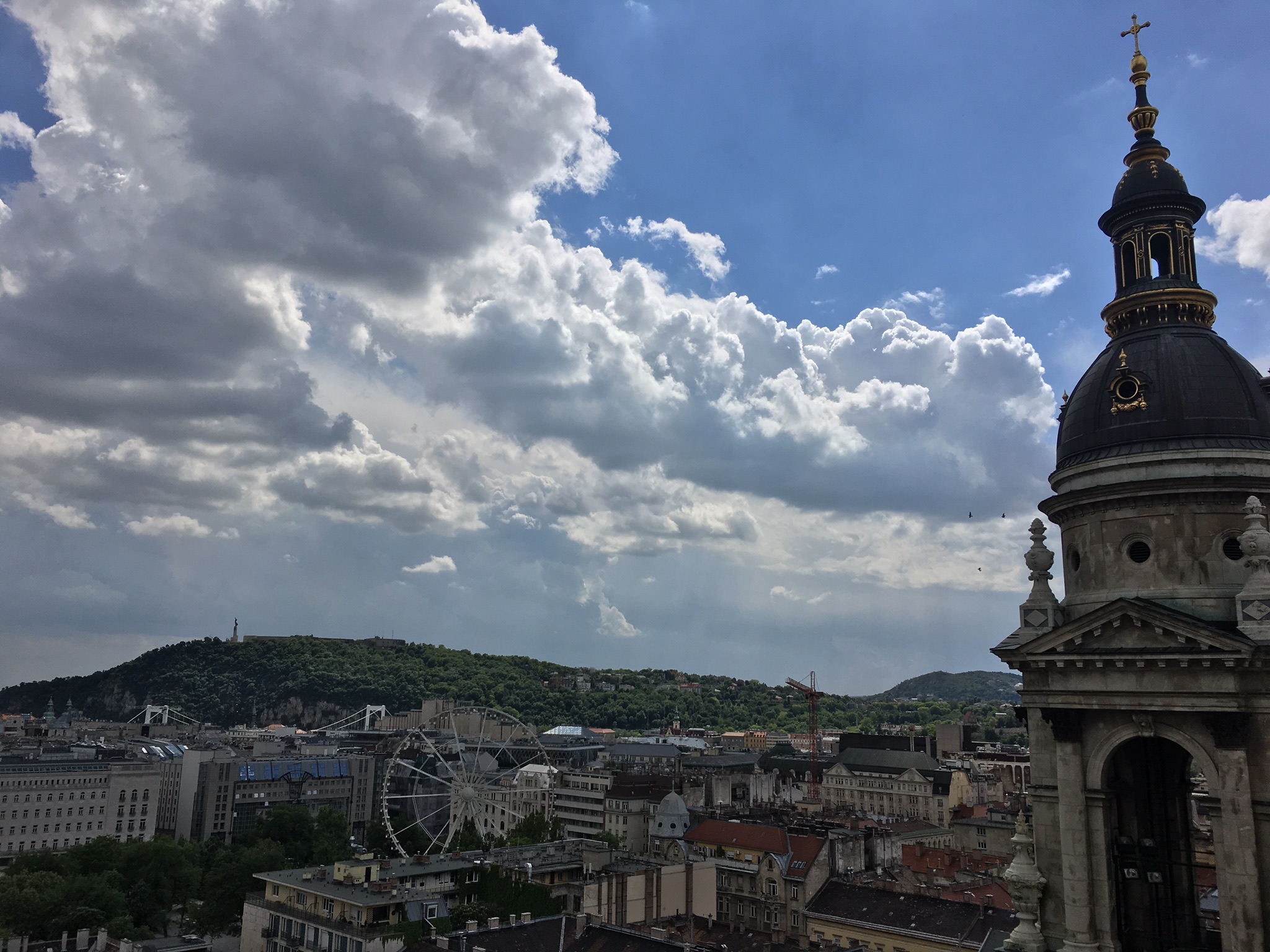 F6053905-DD93-437B-BD51-8D31B150F2A7.jpeg