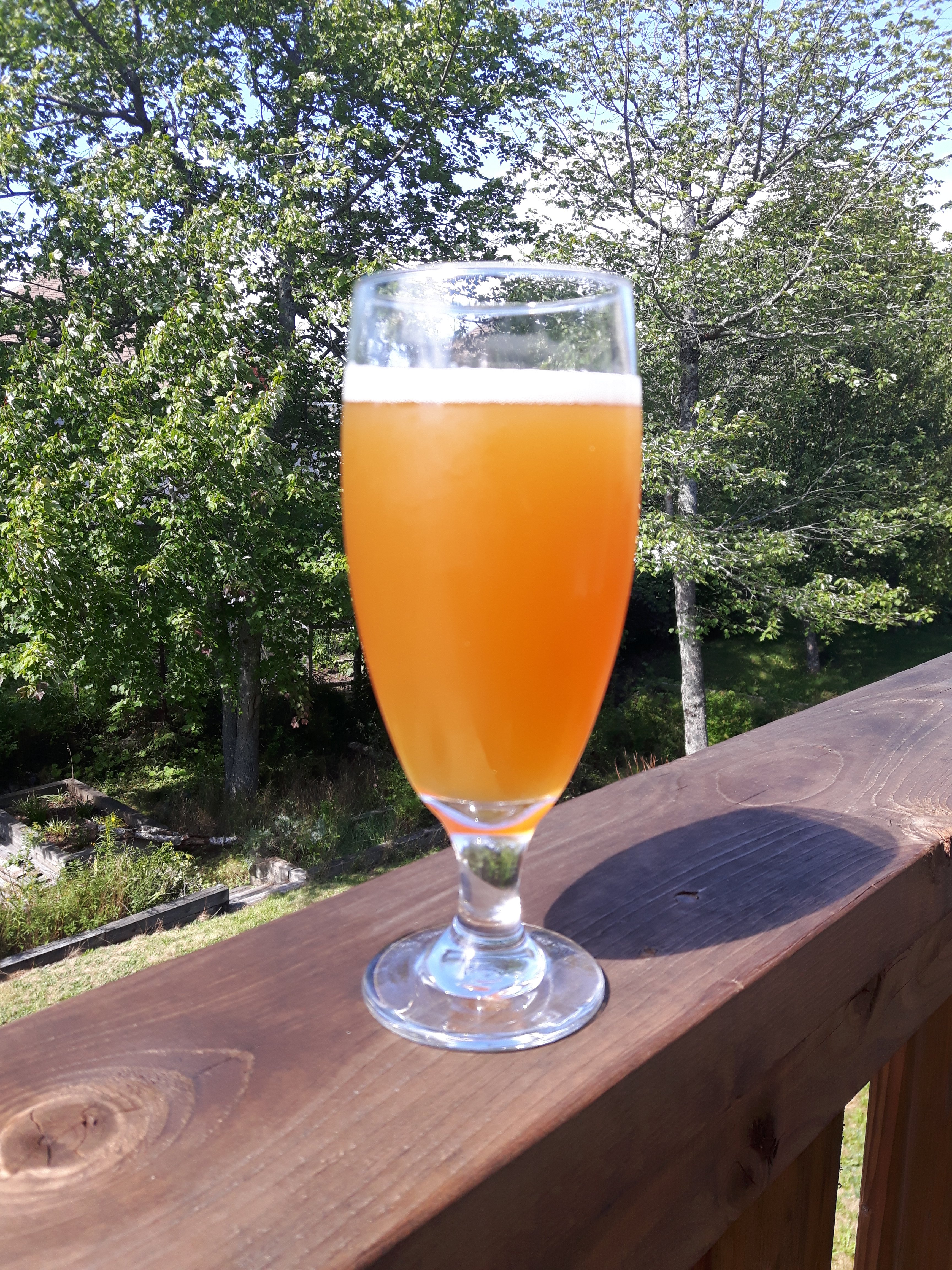 kitchenpartypale.jpg kitchenpartypale.jpg