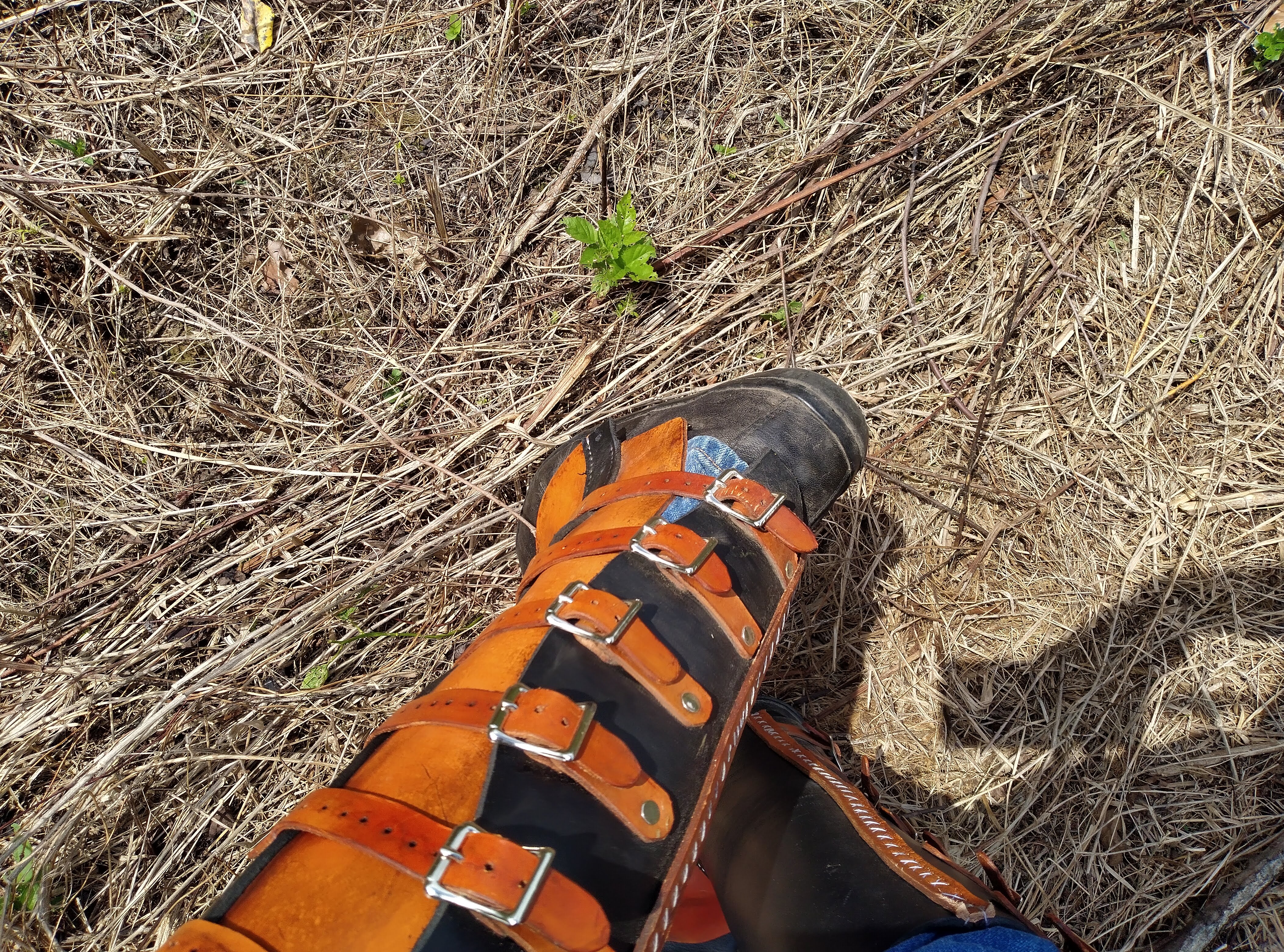gaiter in field.jpg