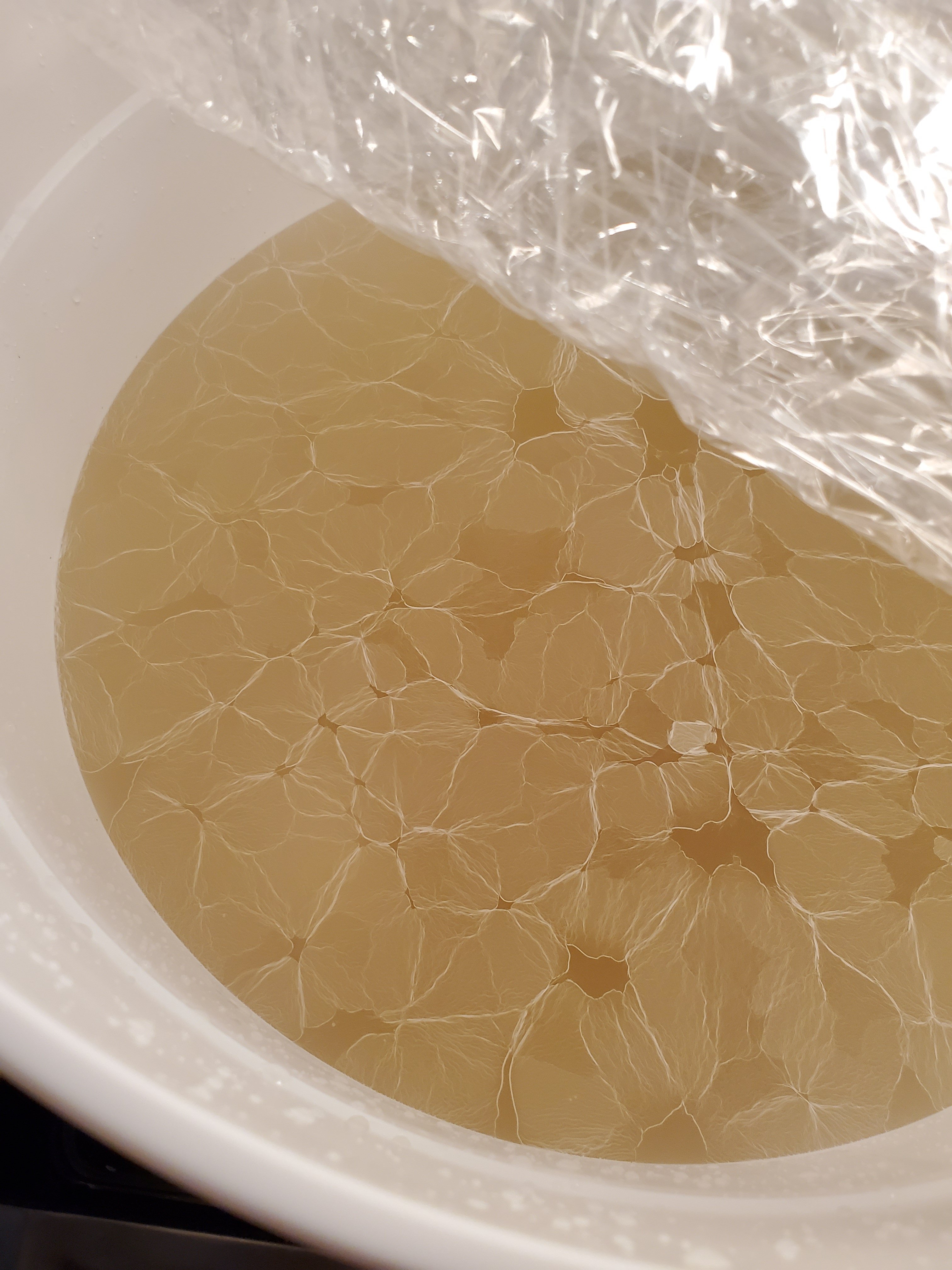 20200914_180635.jpg
