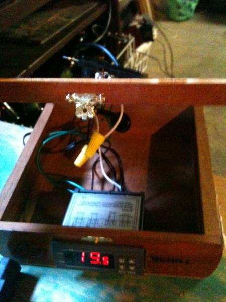 IMG_0316.jpg IMG_0316.jpg