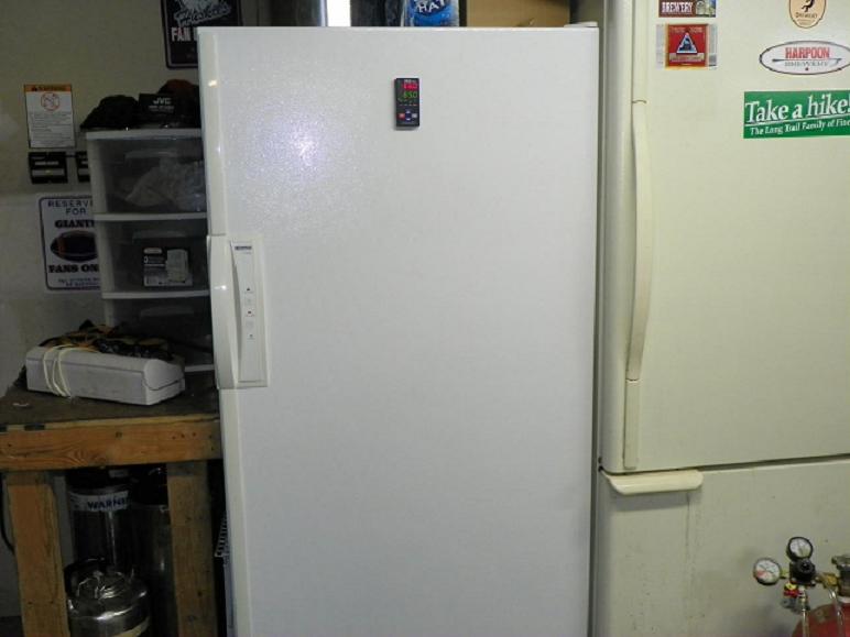 Fridge_1.JPG