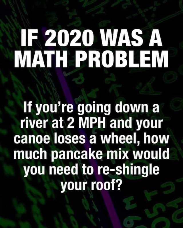 If 2020 Was A Math Problem.jpg