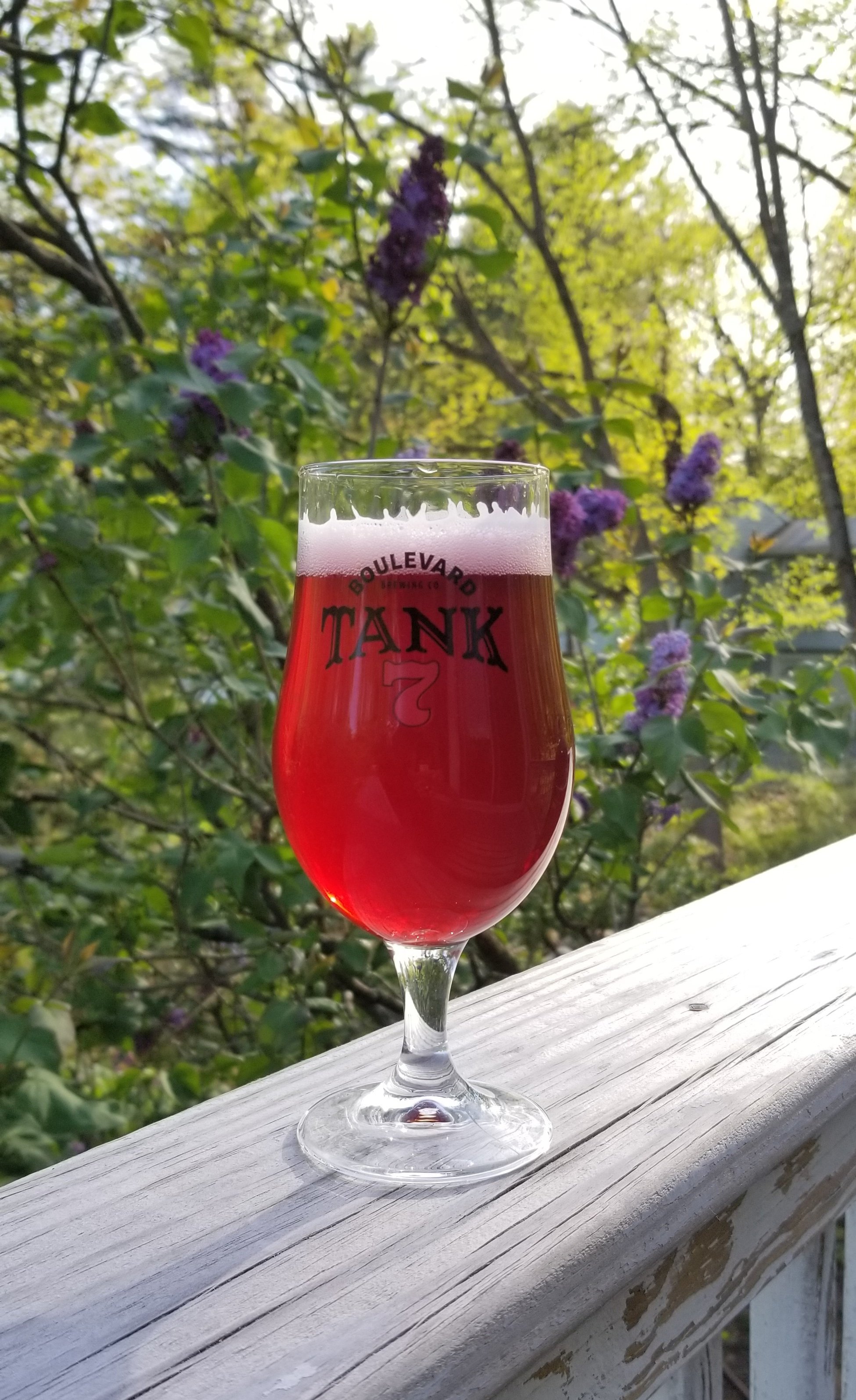 hiberrywheat.jpg hiberrywheat.jpg