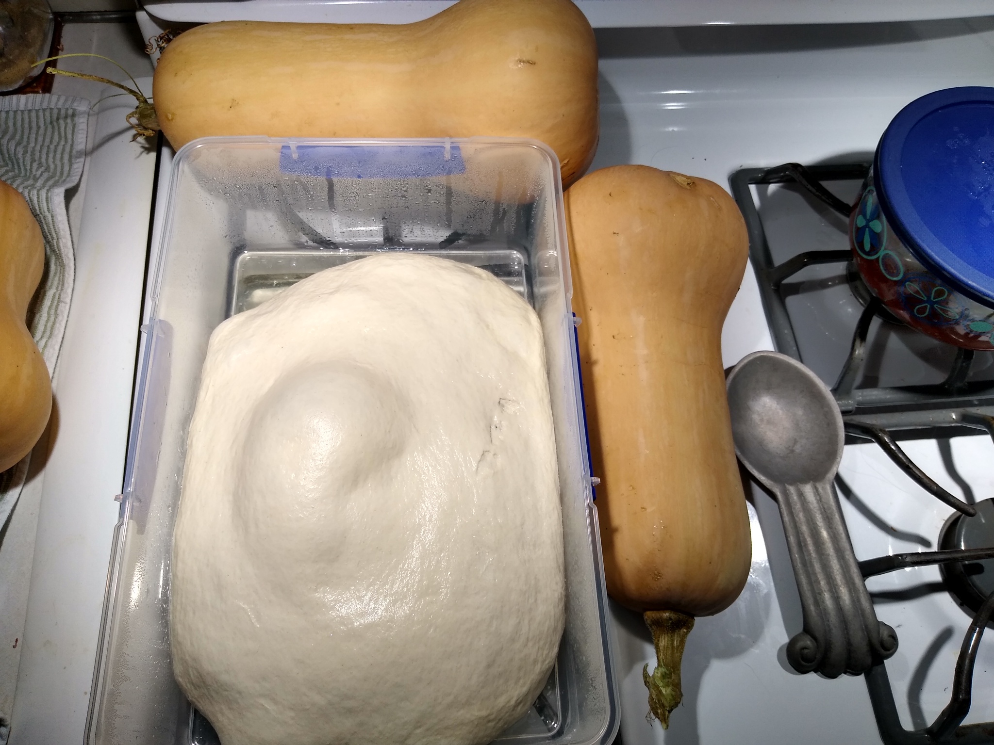 big dough.jpg