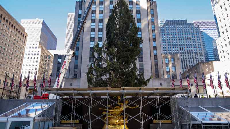 rockefeller-christmas-tree.jpg