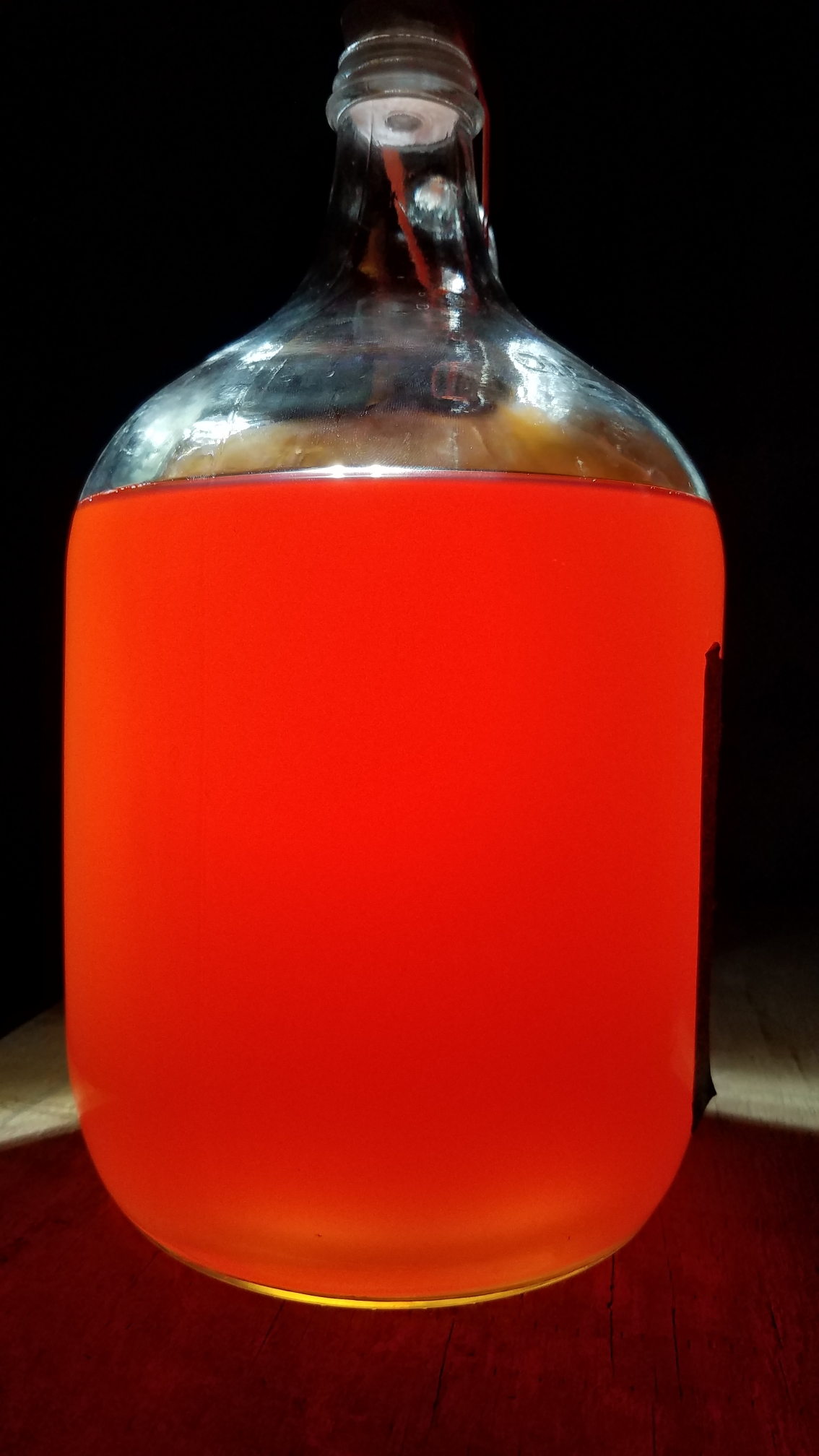 1 gallon Cranberry_mead__3_Dec_2020.jpeg