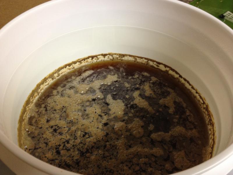 infection pale ale.jpg