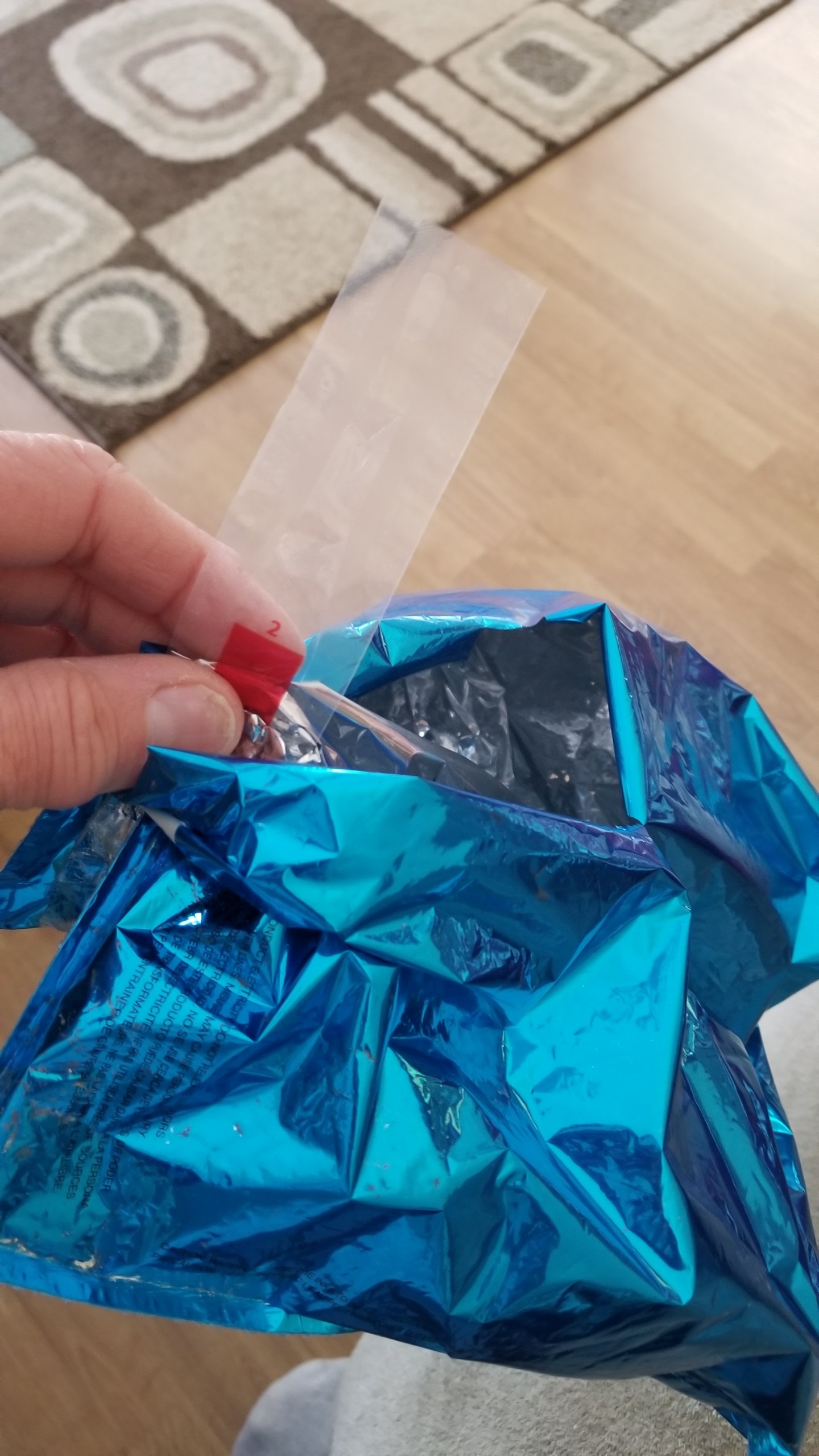 Mylar Ballon.jpg Mylar Ballon.jpg