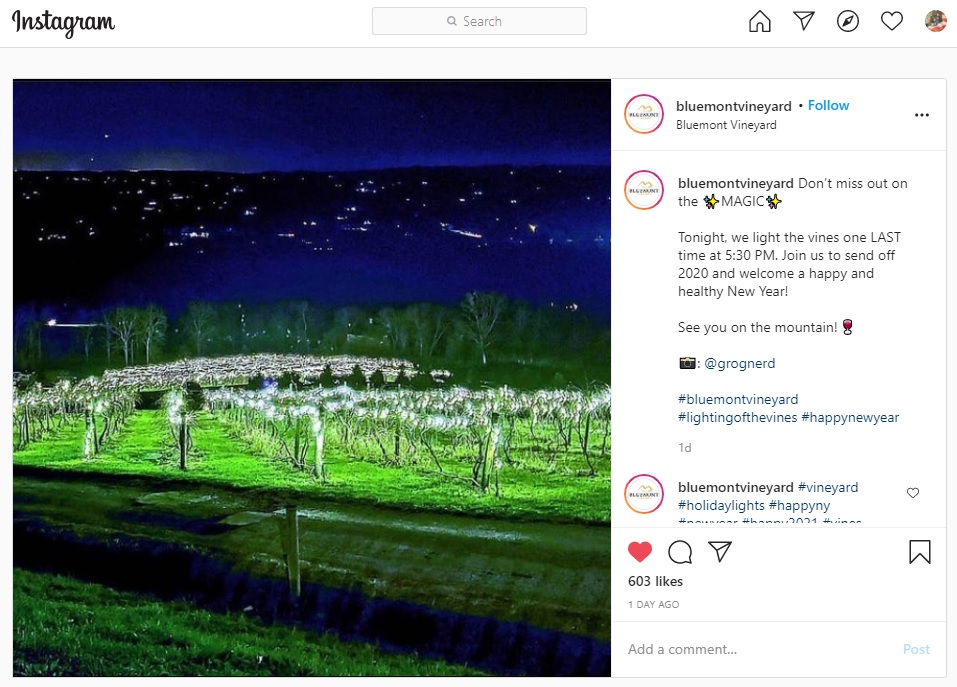 bluemont vinyard instagram.jpg