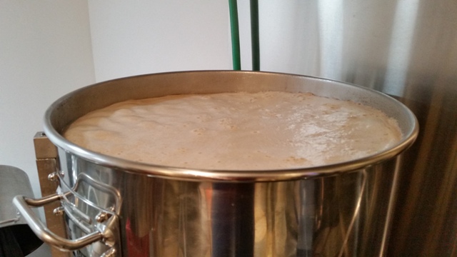 20 Gallon Brew Kettle Watching for Boil Over.jpg