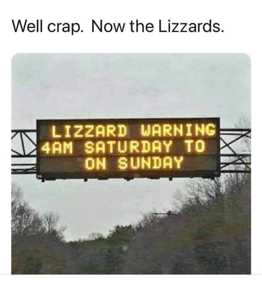 Well Crap Now The Lizzards.jpg