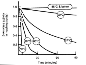 Beta_amylase_activity.gif