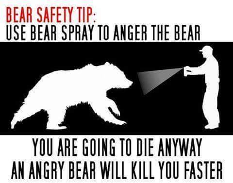 Bear Safety Tip.jpg