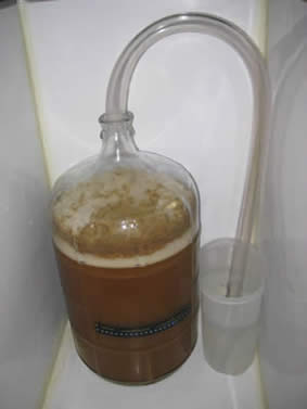 carboy-blowoff.JPG