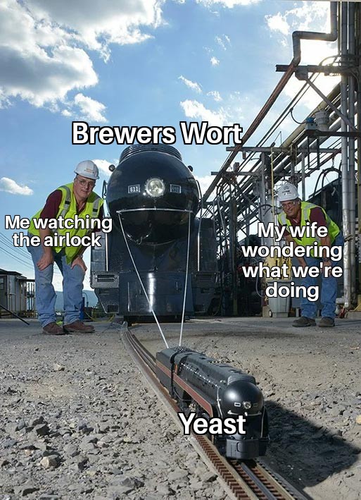 Wort and yeast.jpg