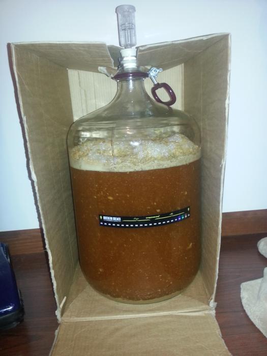 Primary Fermentation 8 hours.jpg