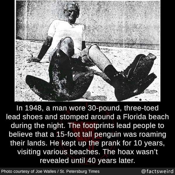 Giant Penguin Hoax.jpg