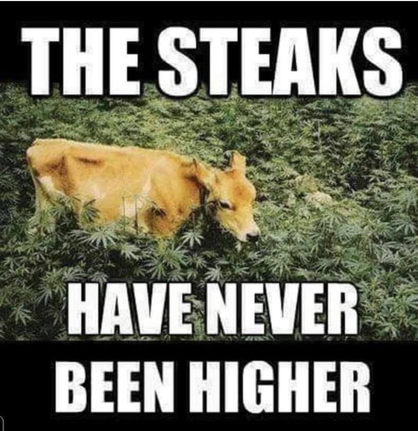 The Steaks Have Never Been Higher.jpg