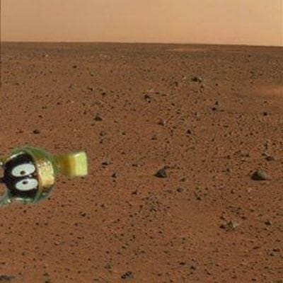 1st Photo From Mars Lander.jpg