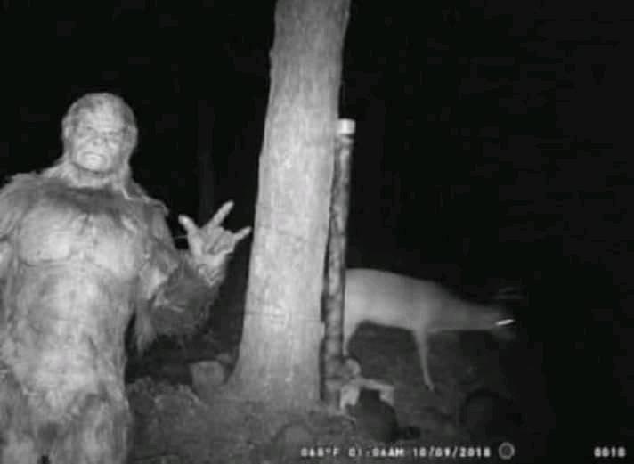 Bigfoot Trail Cam.jpg