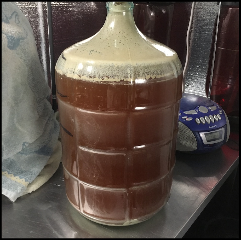 carboy 1.jpg