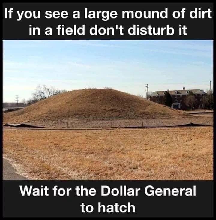 Dollar General hatching.jpg