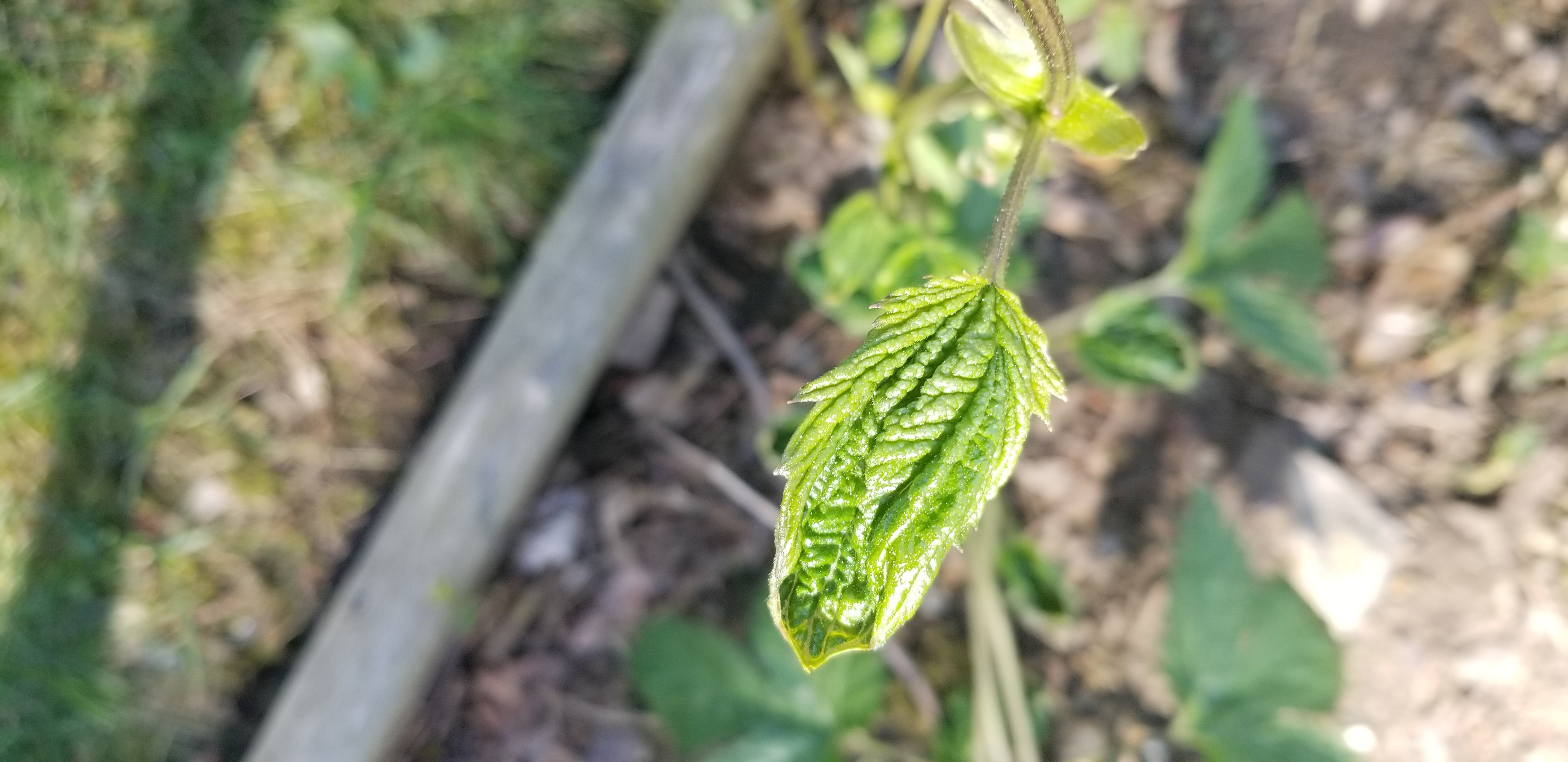 20210425_163451.jpg 20210425_163451.jpg