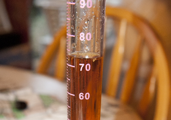 DSC_4211.jpg