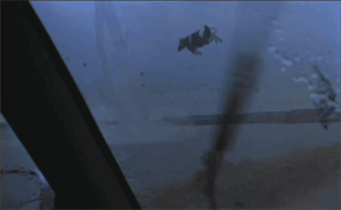 68D1F482-E1DA-49A5-A4D2-02201520A0FB.gif