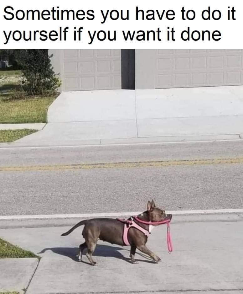 1624939544792.png