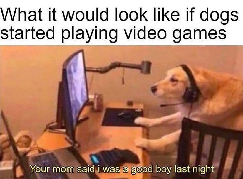 If Dogs Played Video Games.jpg
