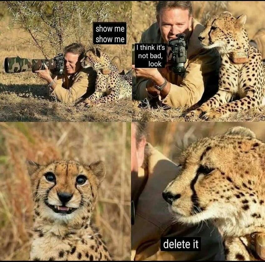 fark_T7CcX402_-FbhT7ZGJVXBEuU1Kw.jpg