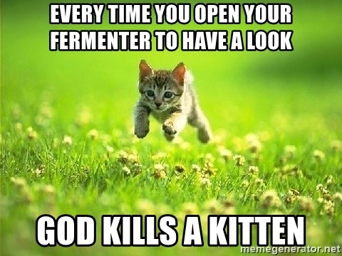 every-time-you-open-your-fermenter-to-have-a-look-god-kills-a-kitten.jpg
