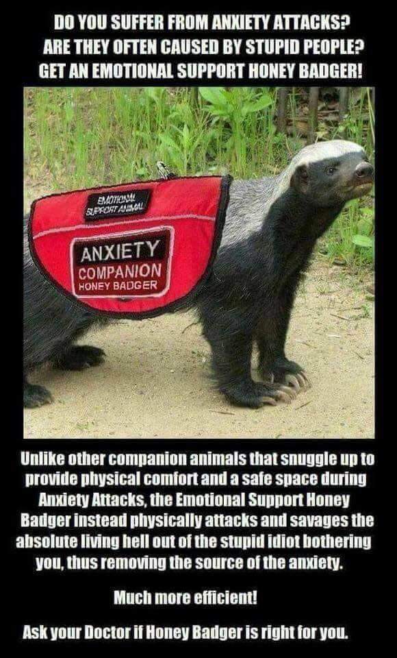 Emotional Support Honey Badger.jpeg