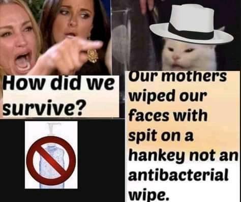 How Did We Survive.jpg
