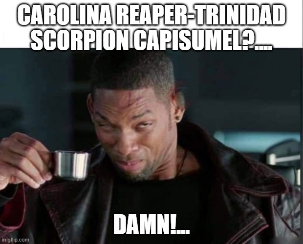 Carolina Reaper Mead.jpg