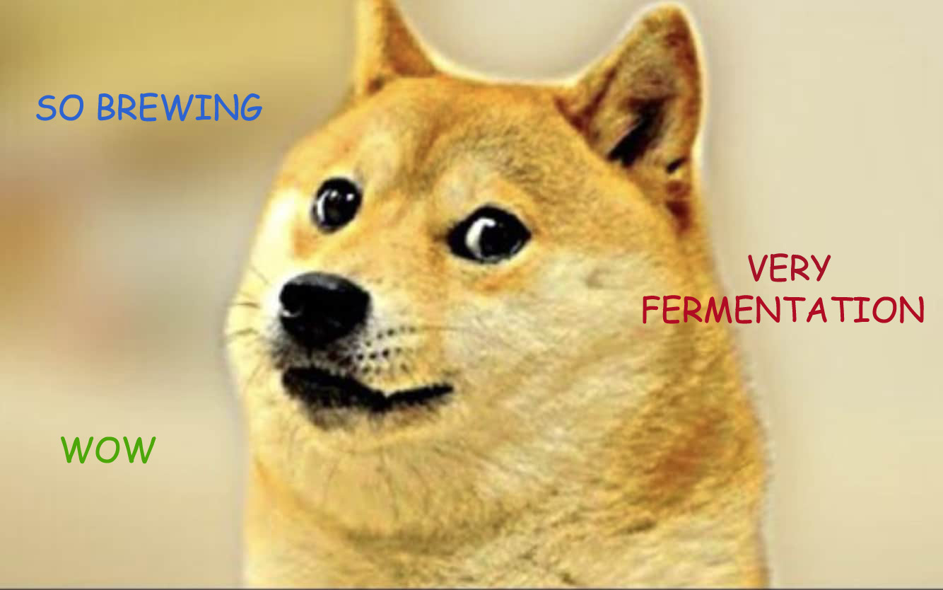 dogebrewing.jpg