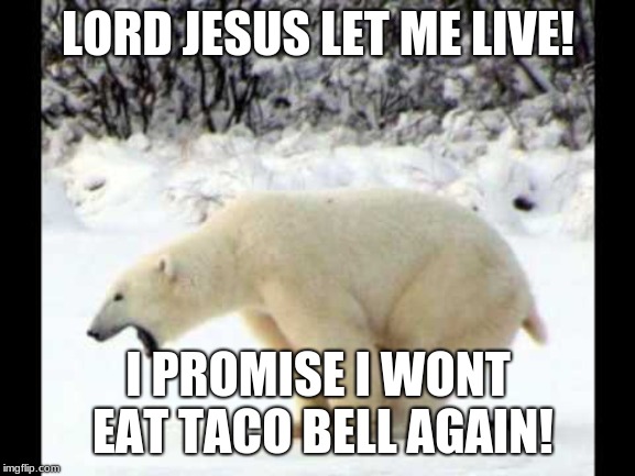 I Promise I Won't Eat Taco Bell Again.jpg